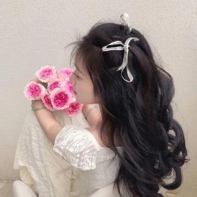 彩虹2025